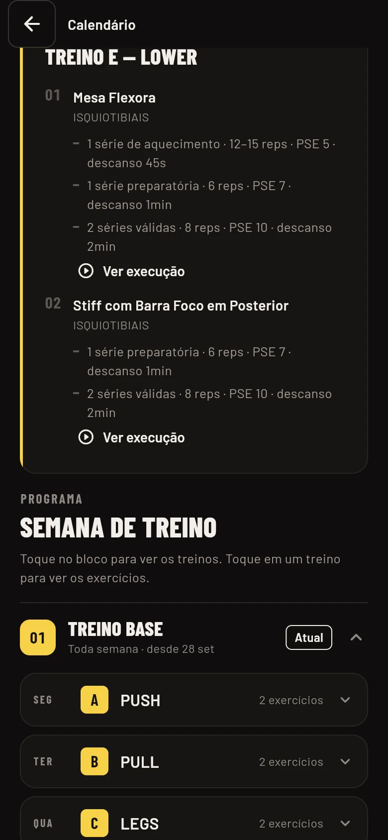 Divisão semanal do programa com os treinos de cada dia